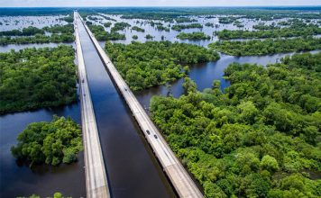 Manchac-Swamp-Bridge-is-one-of-the-most-beautiful-bridges-on-earth