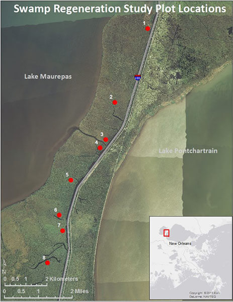 Satellite image of Manchac Swamp Bridged
